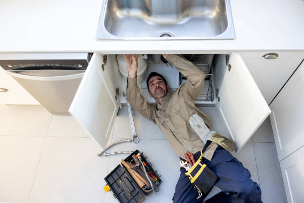 Best Sprinkler Systems  in Pupukea, HI
